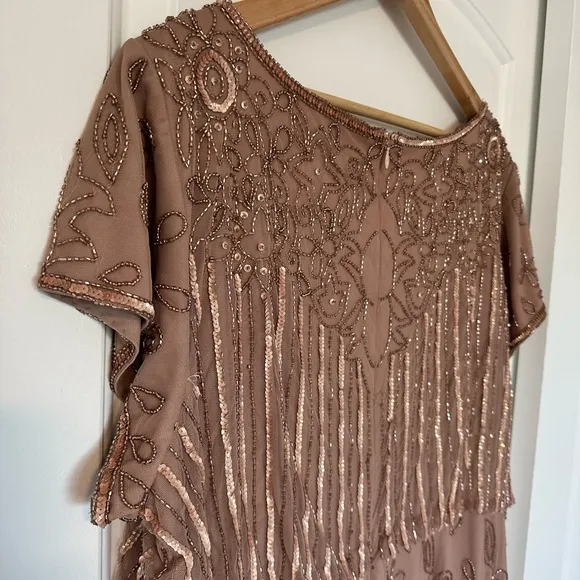 Adrianna Papell Plus Size Short Sleeve Blouson Beaded blush Gown