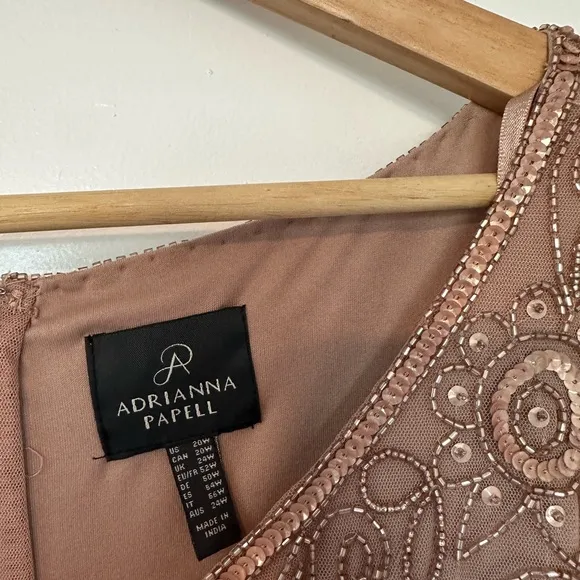 Adrianna Papell Plus Size Short Sleeve Blouson Beaded blush Gown