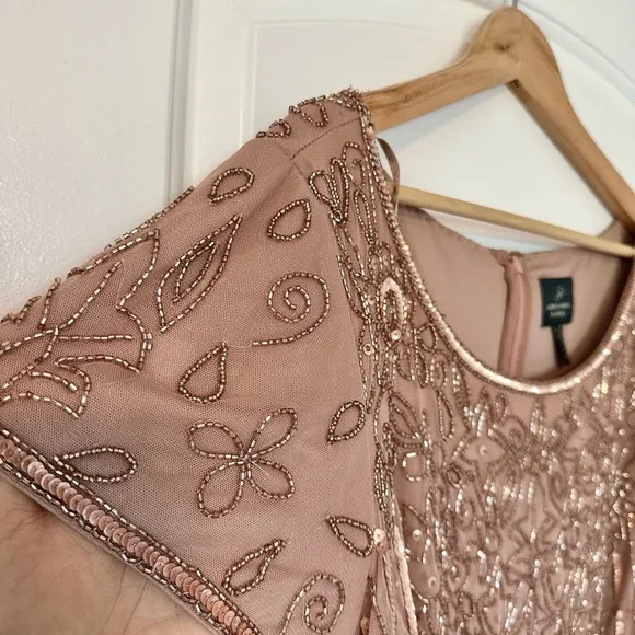 Adrianna Papell Plus Size Short Sleeve Blouson Beaded blush Gown