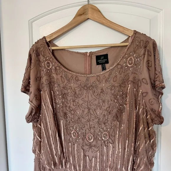 Adrianna Papell Plus Size Short Sleeve Blouson Beaded blush Gown