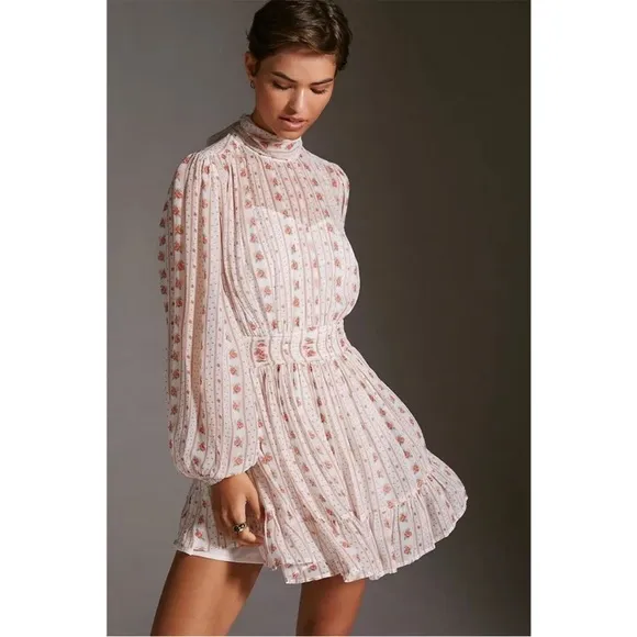 Anthropologie Lef Me Be Mock Neck Sheer Mini Dress S Cottage Floral Rose