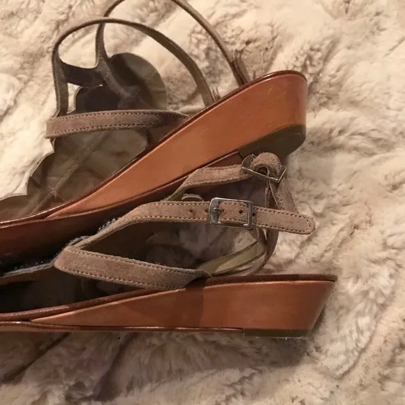 Gorgeous Sigerson Morrison shoes