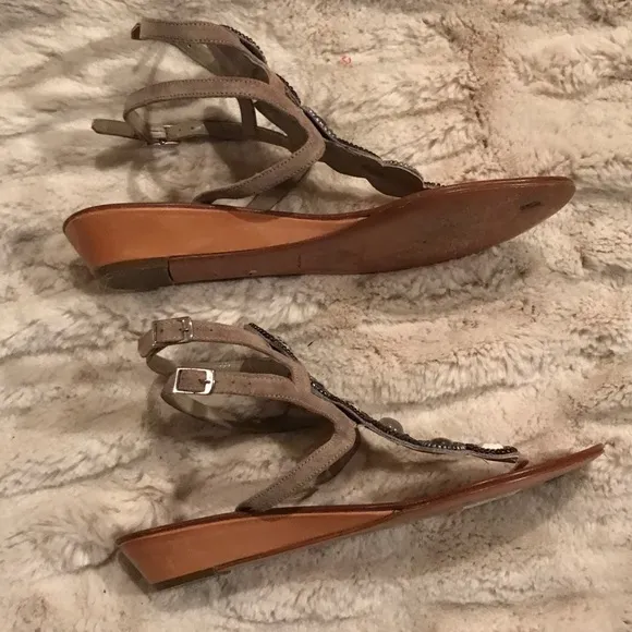 Gorgeous Sigerson Morrison shoes
