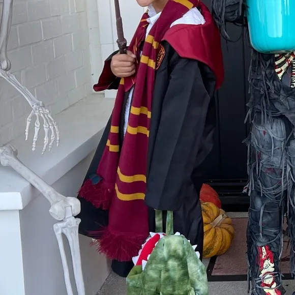 Harry Potter™ Gryffindor™ Halloween Costume Pottery Barn Size 7-8 years