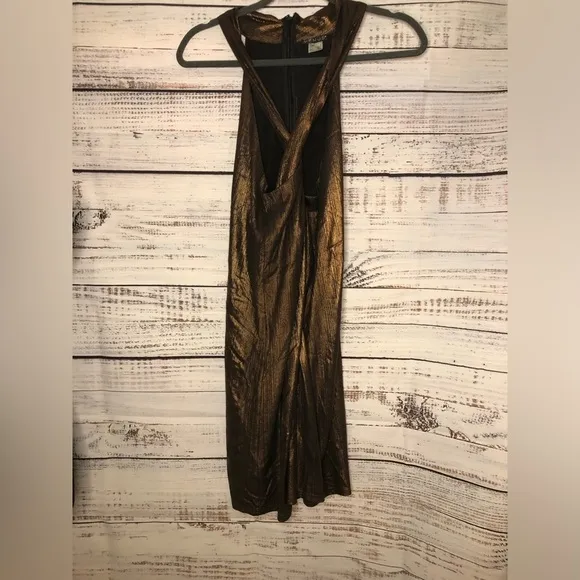 Metallic Bronze Dress