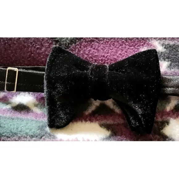 NEW Regal Royal Lion Loafer Black Velvet Slipper Shoes (Men 11.5/46) and Bowtie!