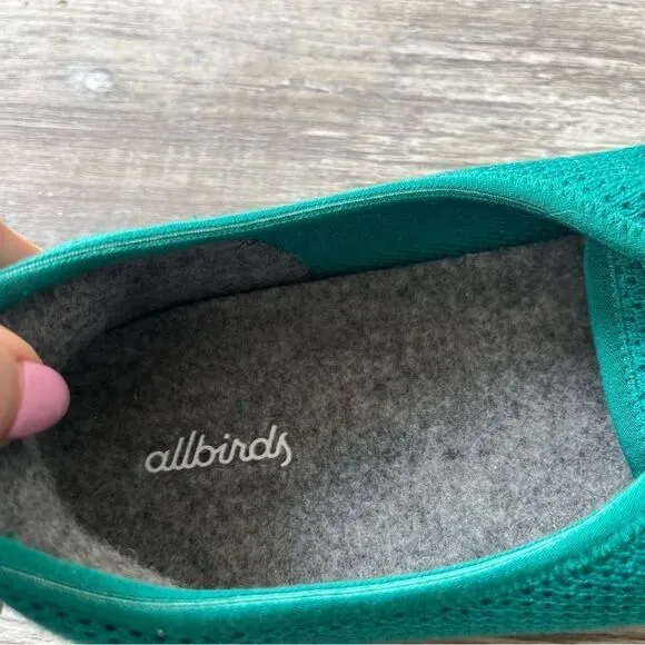NWOT Allbirds Men's Tree Skippers