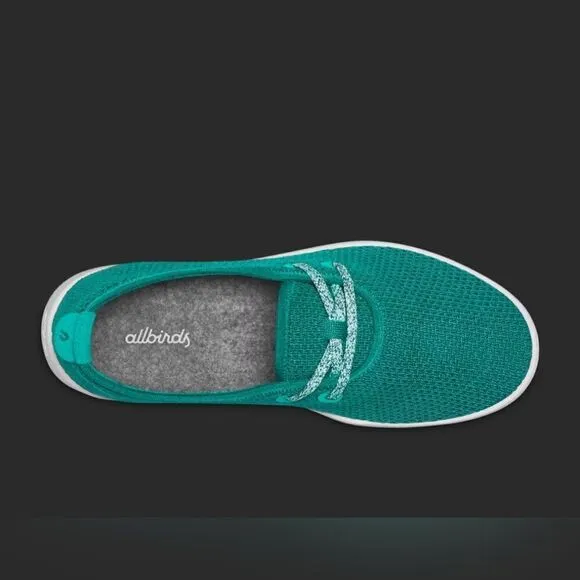 NWOT Allbirds Men's Tree Skippers