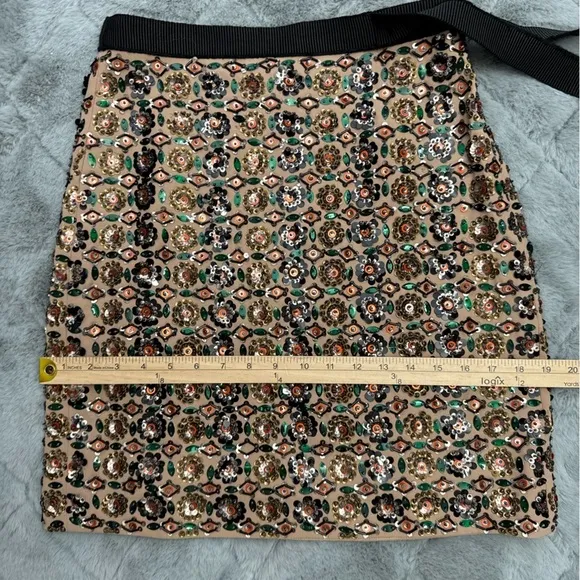 RARE J.Crew Collection Embellished | Size 4 | Beaded Party Skirt Festive Glam