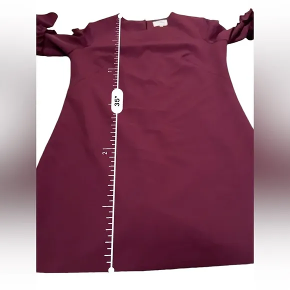 RTR Milly Cady Large Bell‎ Ruffle Sleeve Wine Magenta Mini A-Line Dress Sz 8