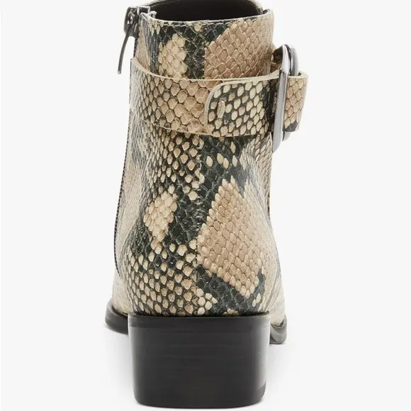 STEVE MADDEN Ringer Snakeskin Print Leather Ankle Boots ~ Like New