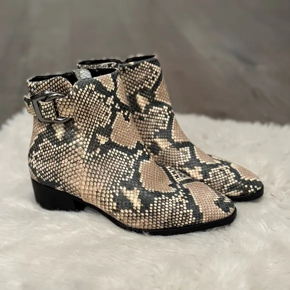 STEVE MADDEN Ringer Snakeskin Print Leather Ankle Boots ~ Like New