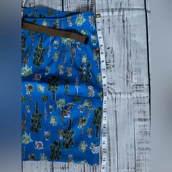 The North Face Class V Belted Trunk zippered cargo pockets blue cactus print NWT