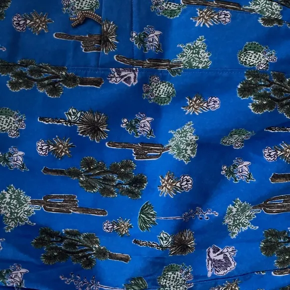 The North Face Class V Belted Trunk zippered cargo pockets blue cactus print NWT