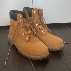 Women's Timberland Premium 6-Inch Waterproof Boot